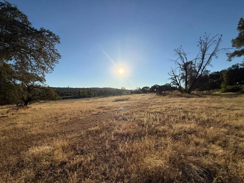 159 Albright Court Angels Camp, CA 95222