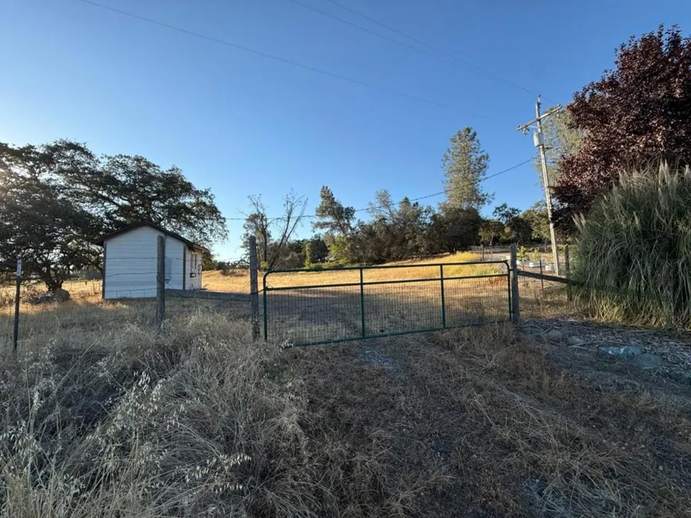 159 Albright Court Angels Camp, CA 95222