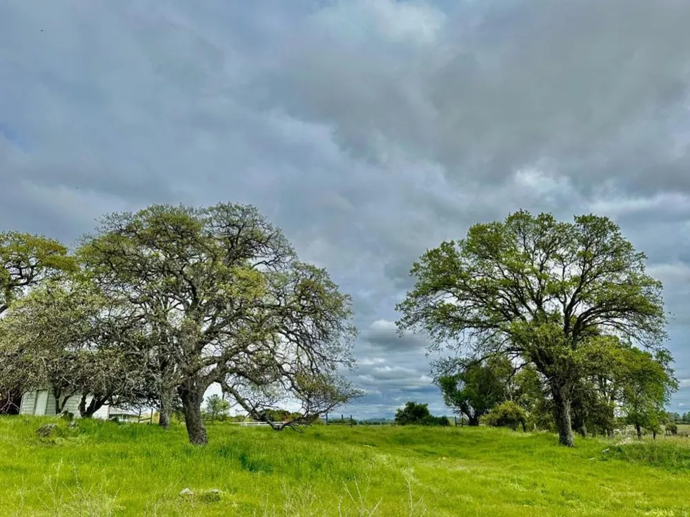 159 Albright Court Angels Camp, CA 95222