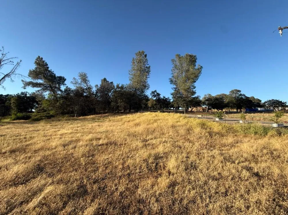 159 Albright Court Angels Camp, CA 95222