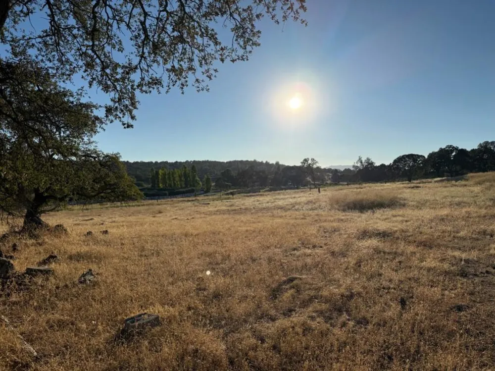 159 Albright Court Angels Camp, CA 95222