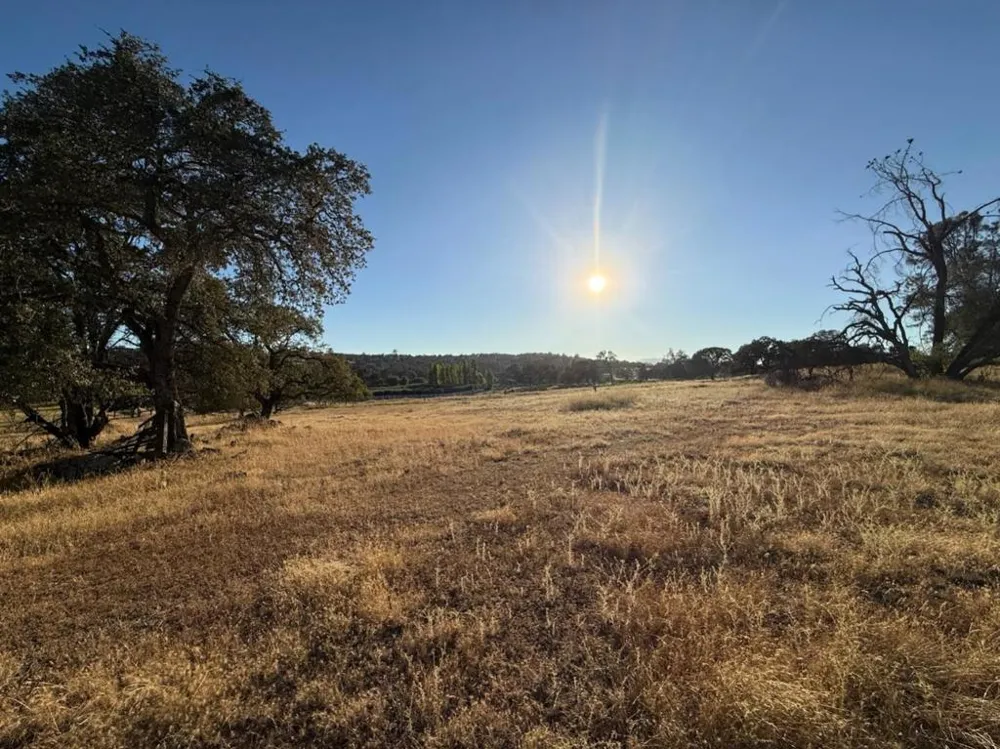 159 Albright Court Angels Camp, CA 95222