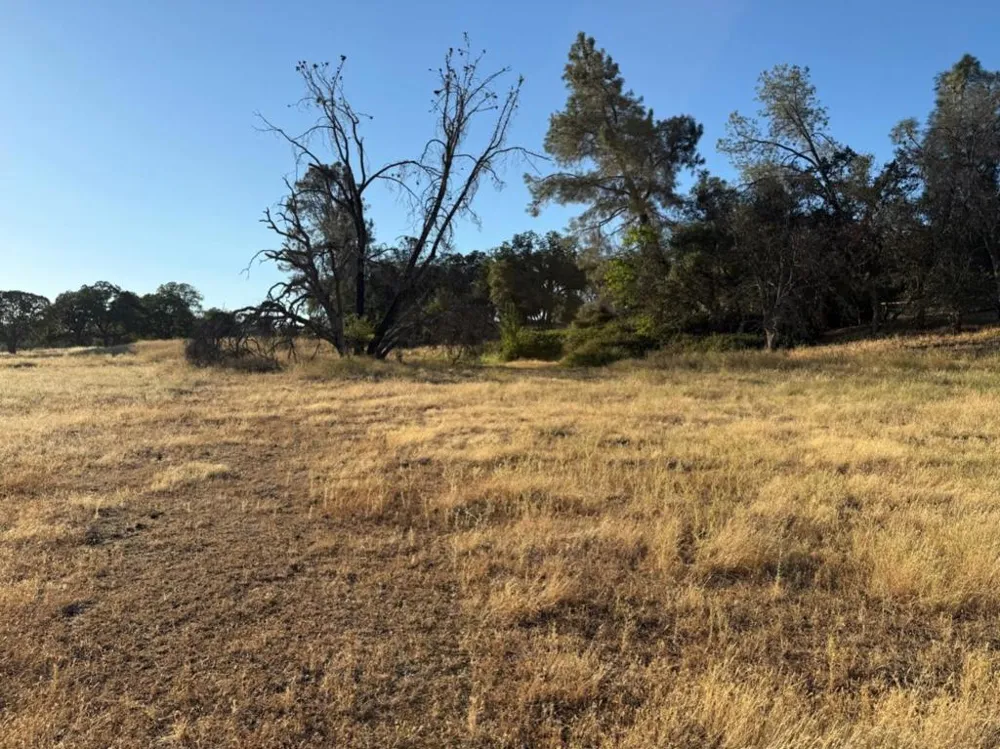 159 Albright Court Angels Camp, CA 95222