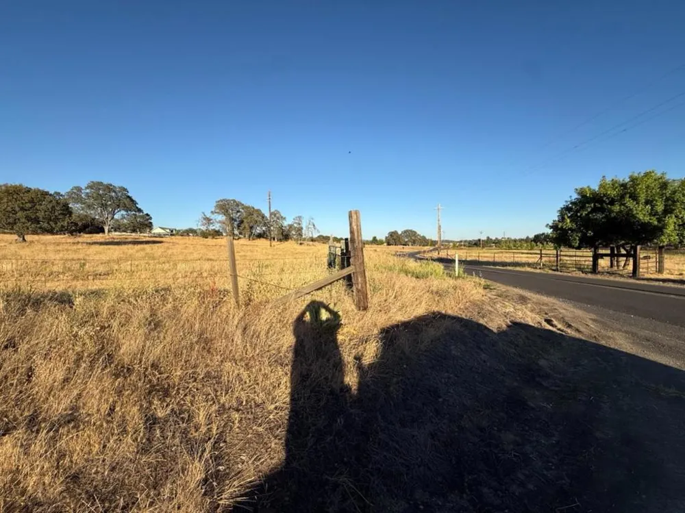 159 Albright Court Angels Camp, CA 95222