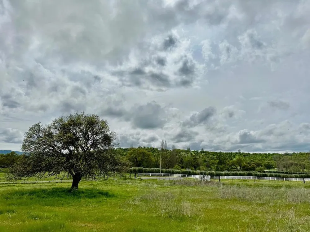 159 Albright Court Angels Camp, CA 95222