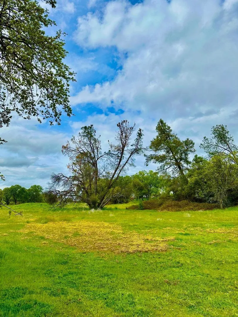 159 Albright Court Angels Camp, CA 95222