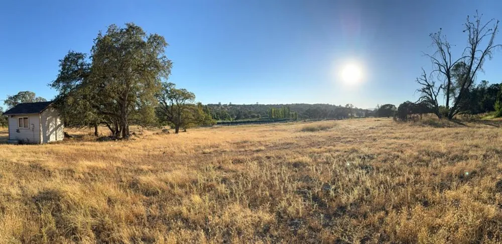 159 Albright Court Angels Camp, CA 95222