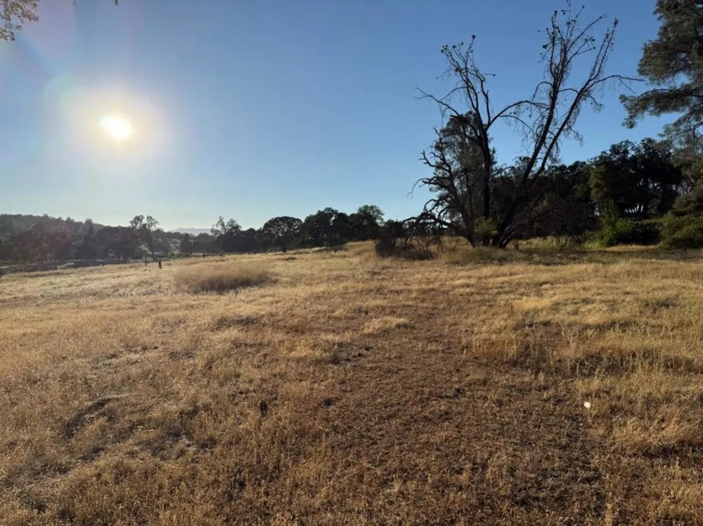 159 Albright Court Angels Camp, CA 95222