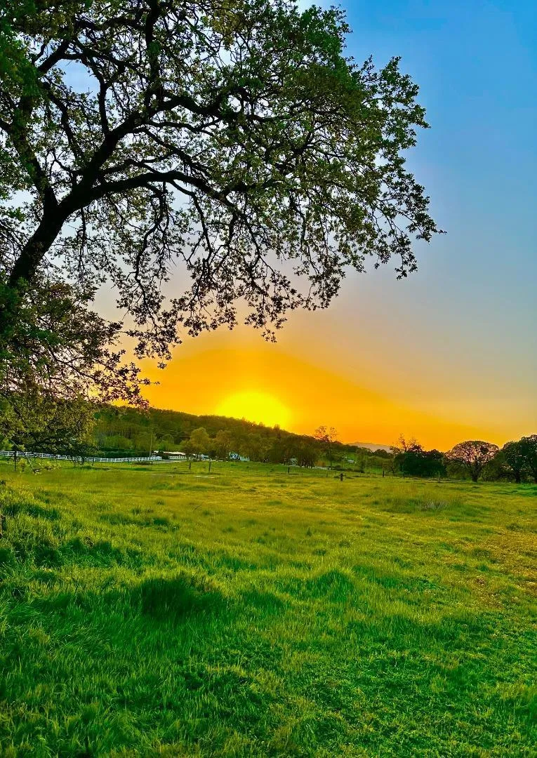 159 Albright Court Angels Camp, CA 95222