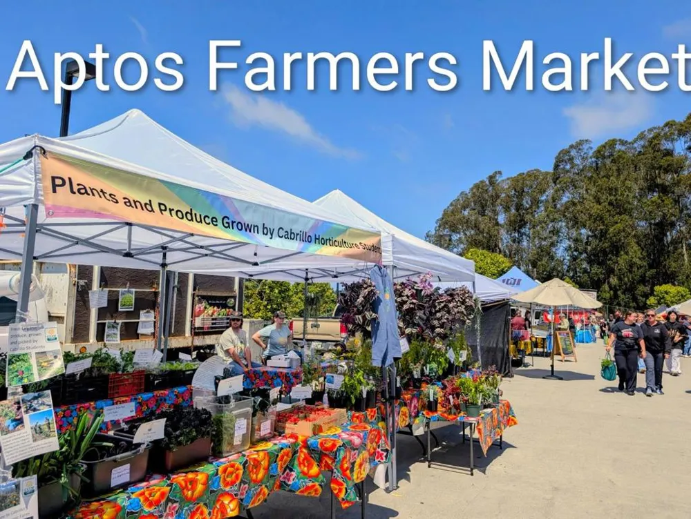 101 Darlington Lane Soquel, CA 95073