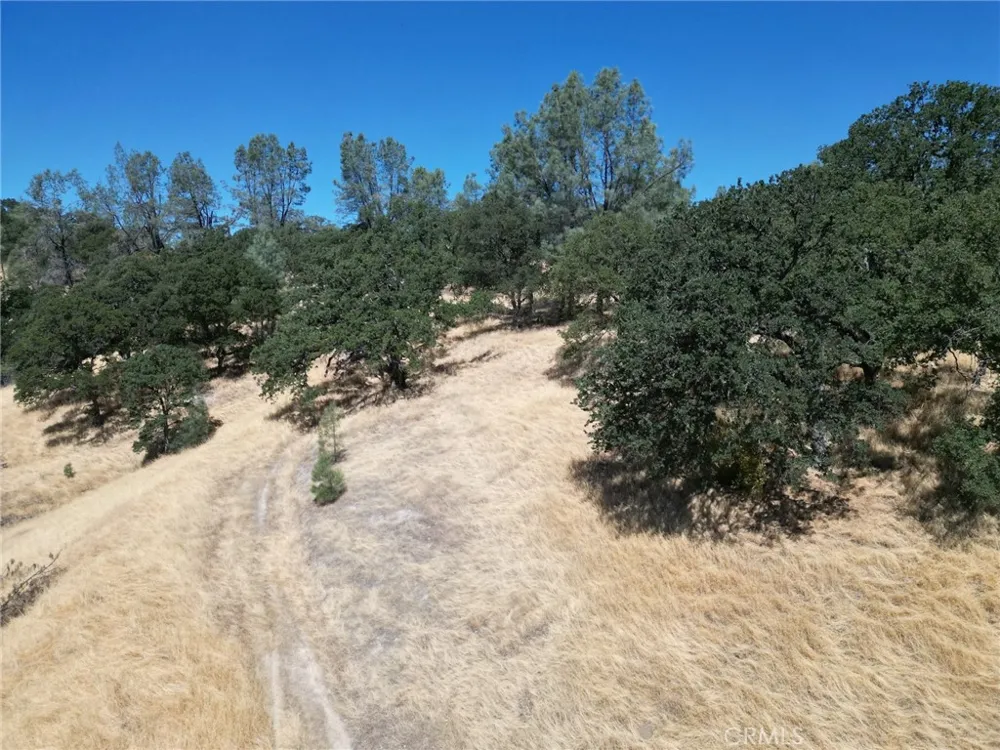 16275 Oakridge Road Corning, CA 96021