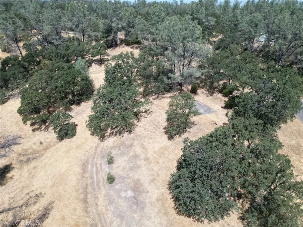 16275 Oakridge Road Corning, CA 96021