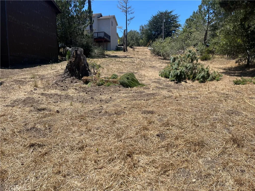 1590 Spencer Cambria, CA 93428