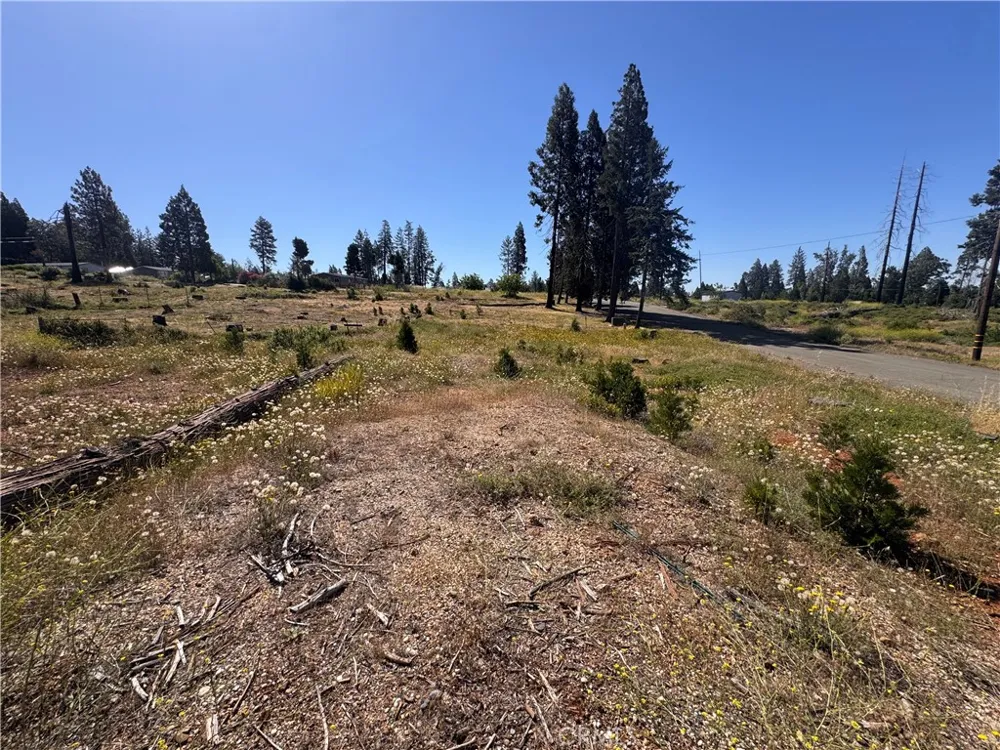 13712 Endicot Circle Magalia, CA 95954