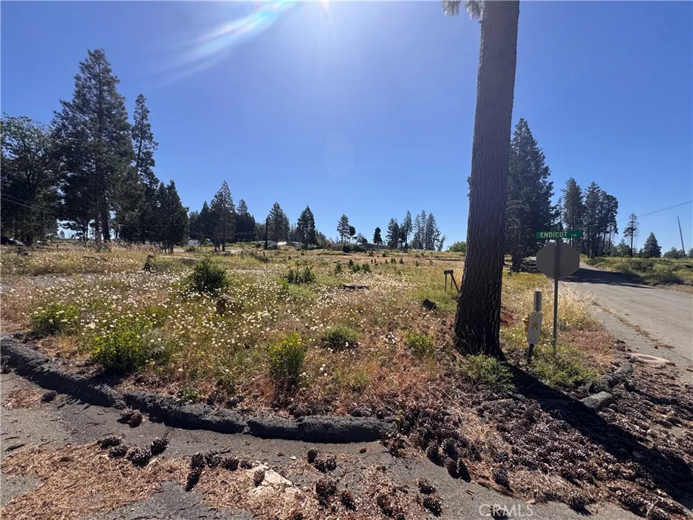 13712 Endicot Circle Magalia, CA 95954