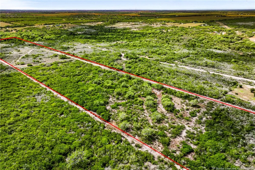 Hidden Creek Drive Orange Grove, TX 78372