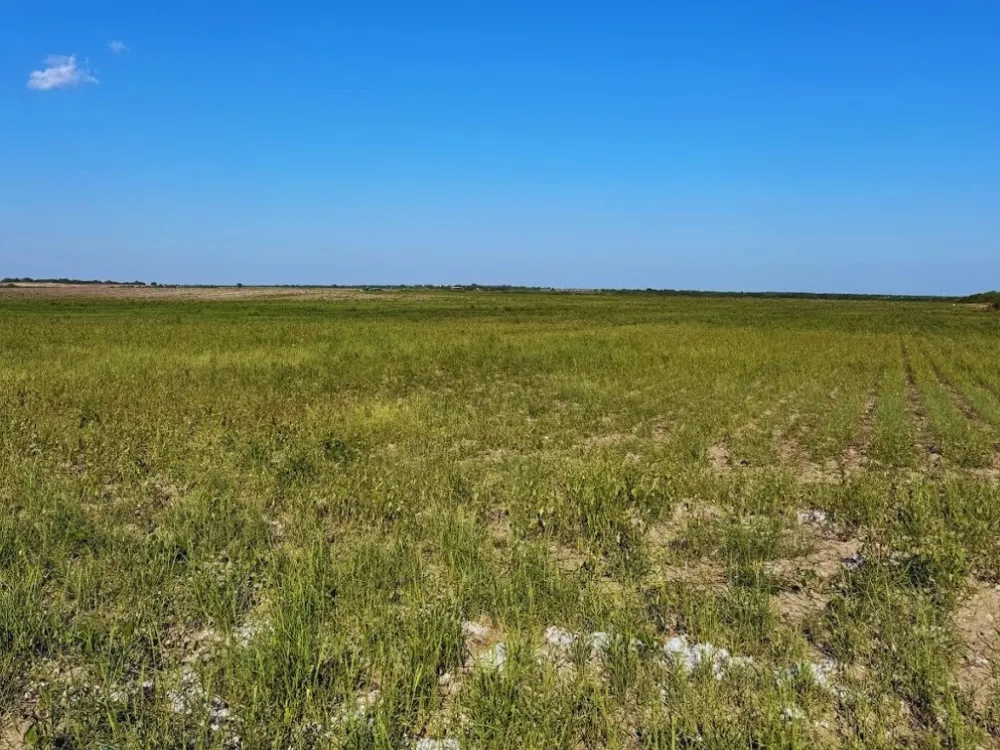 County Rd 1070 S #100 AC Kingsville, TX 78363