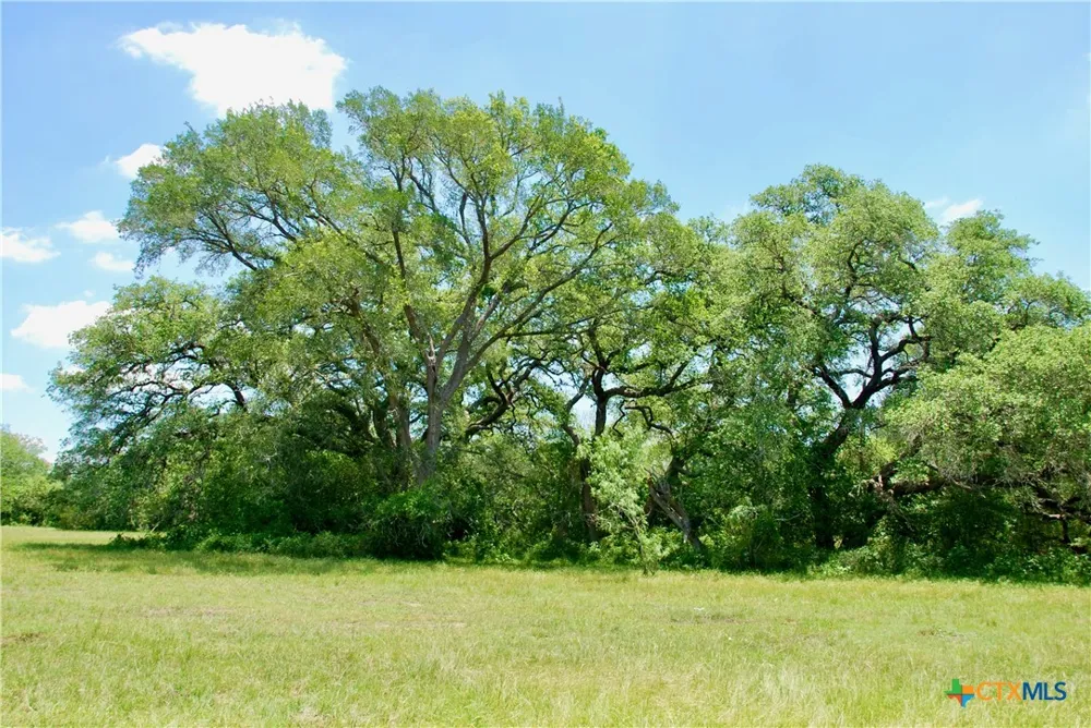 2170 Langdon Road Weimar, TX 78962