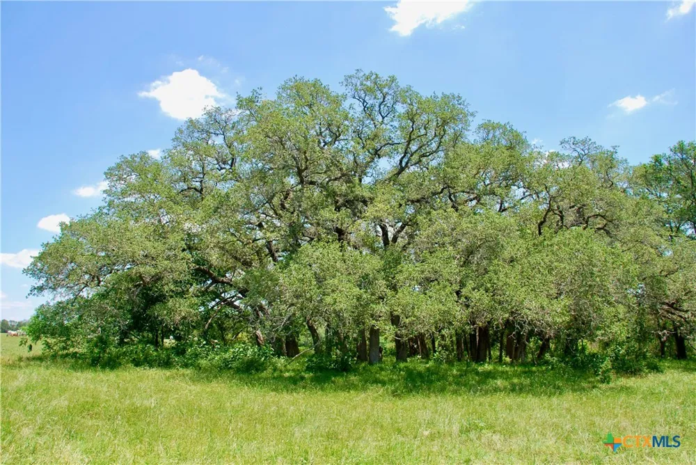 2170 Langdon Road Weimar, TX 78962