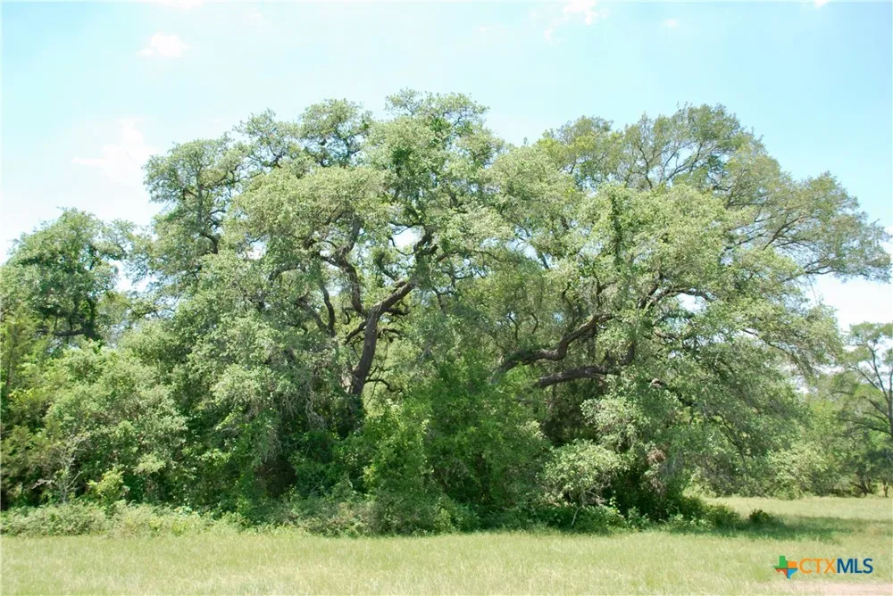 2170 Langdon Road Weimar, TX 78962