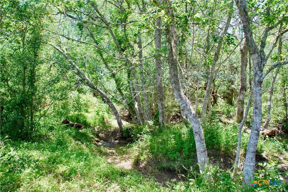 2170 Langdon Road Weimar, TX 78962