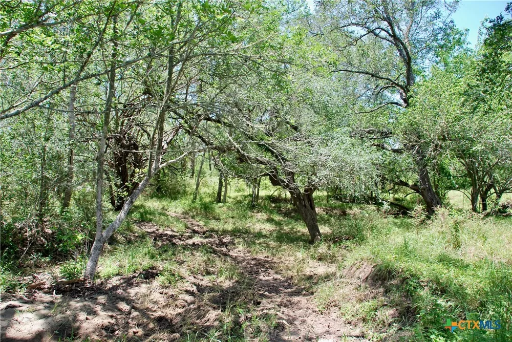 2170 Langdon Road Weimar, TX 78962