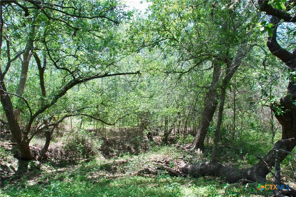 2170 Langdon Road Weimar, TX 78962