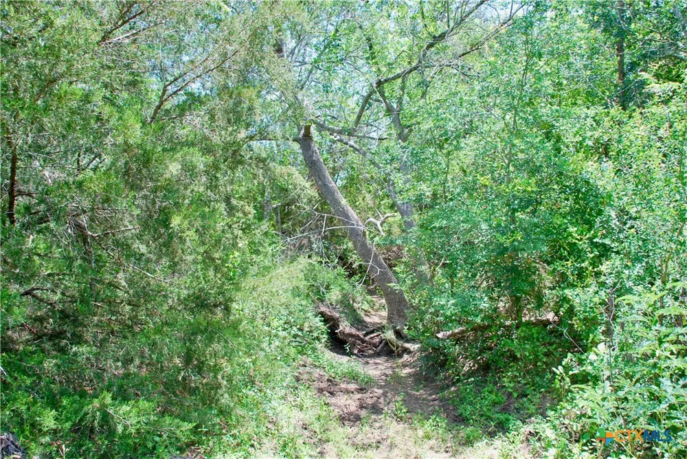 2170 Langdon Road Weimar, TX 78962