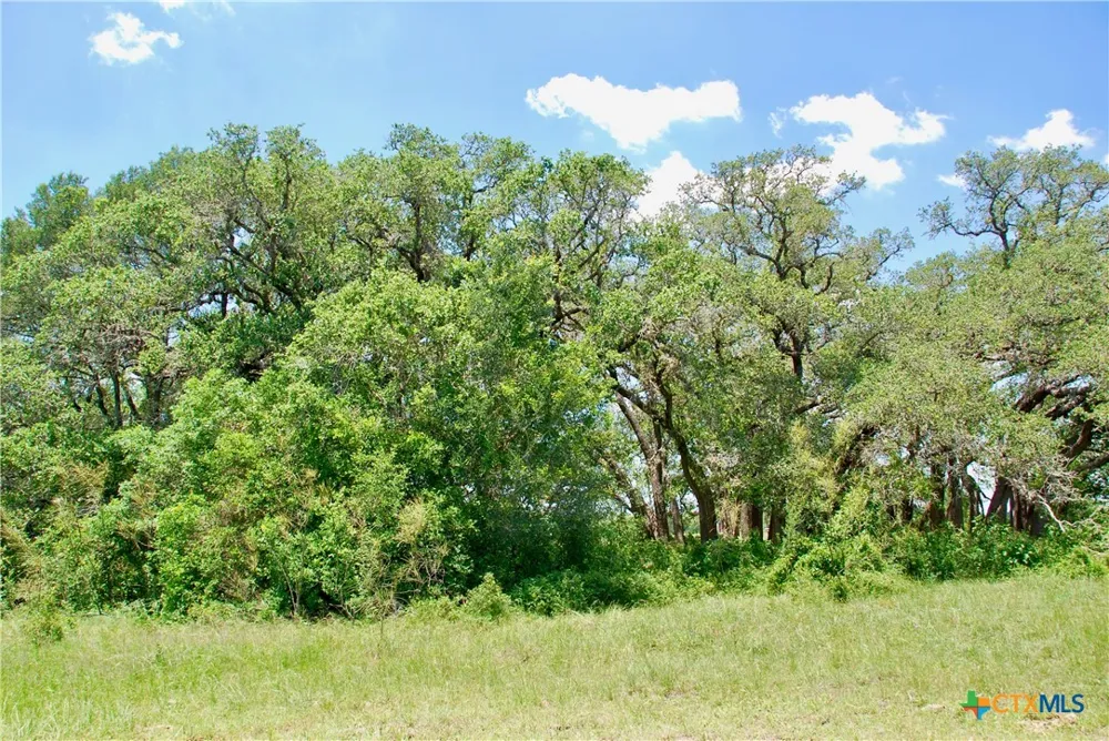 2170 Langdon Road Weimar, TX 78962