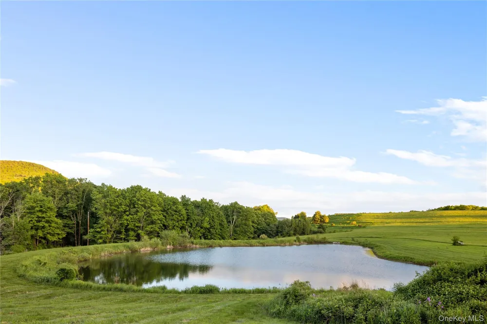 335 Dawson Road Hillsdale, NY 12529