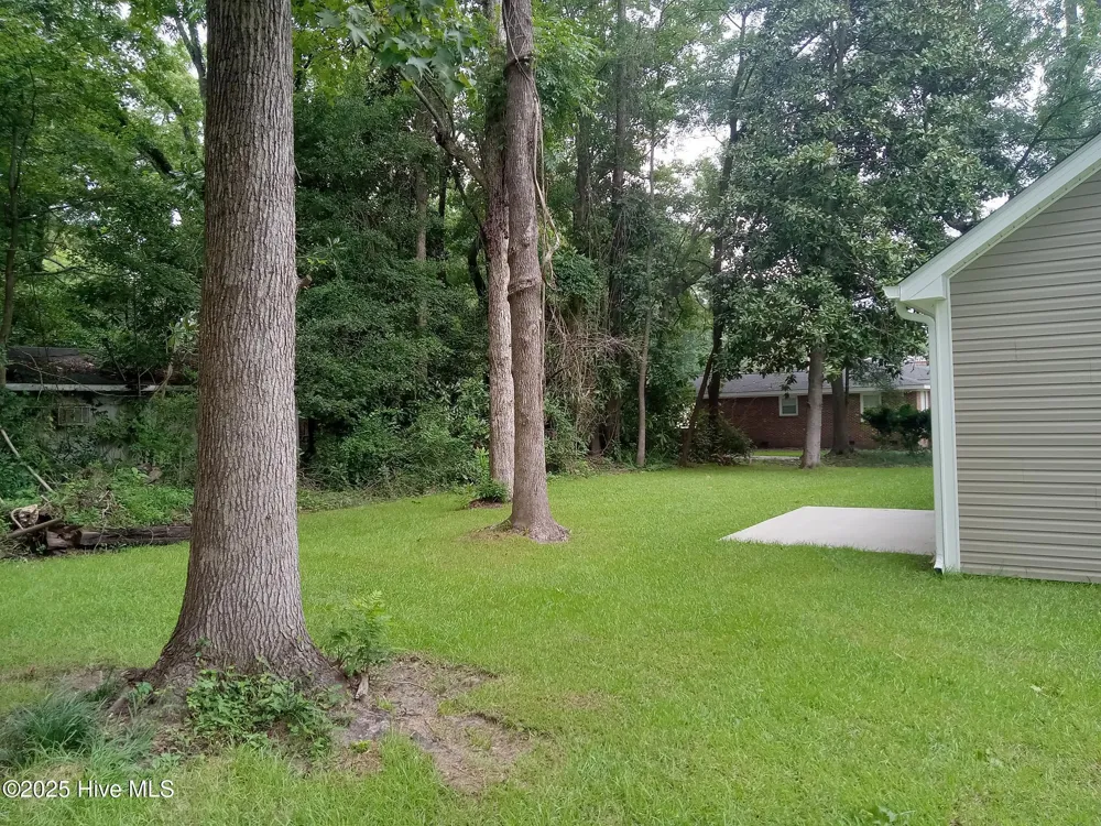 111 E Oliver Street Whiteville, NC 28472