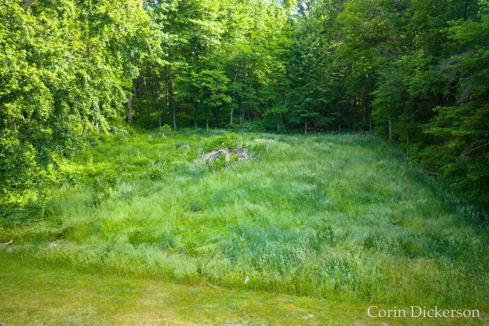3661 110th Avenue Allegan, MI 49010