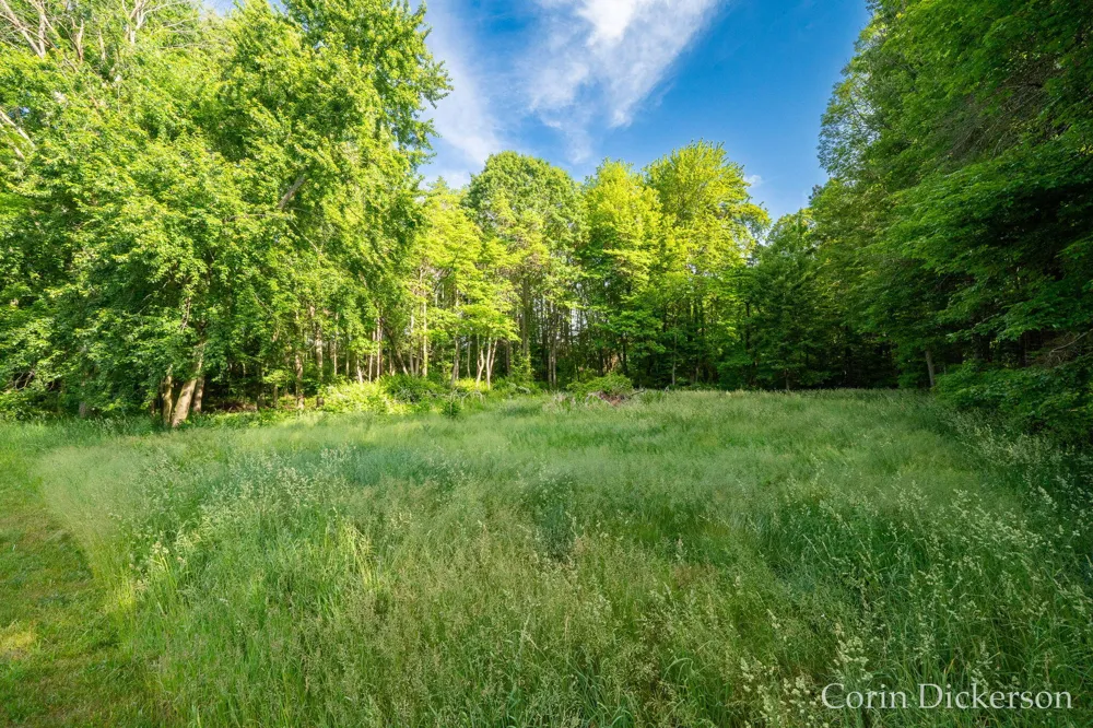 3661 110th Avenue Allegan, MI 49010