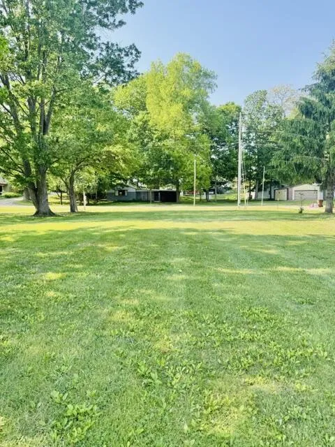 1846 W Tupper Heights Drive Lake Odessa, MI 48849