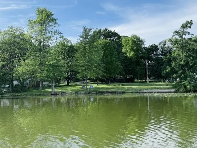 1846 W Tupper Heights Drive Lake Odessa, MI 48849