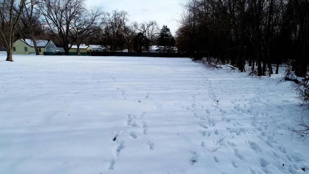 5631 Mount Vernon Avenue Portage, MI 49024