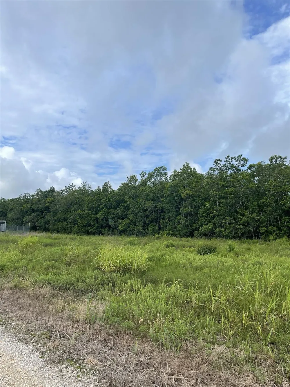 3021 County Road 62 Off Iowa Colony, TX 77583