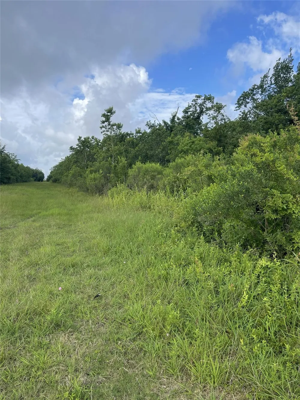 3021 County Road 62 Off Iowa Colony, TX 77583