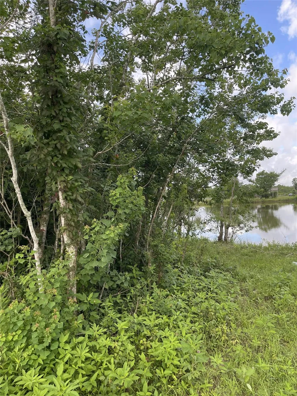 3021 County Road 62 Off Iowa Colony, TX 77583