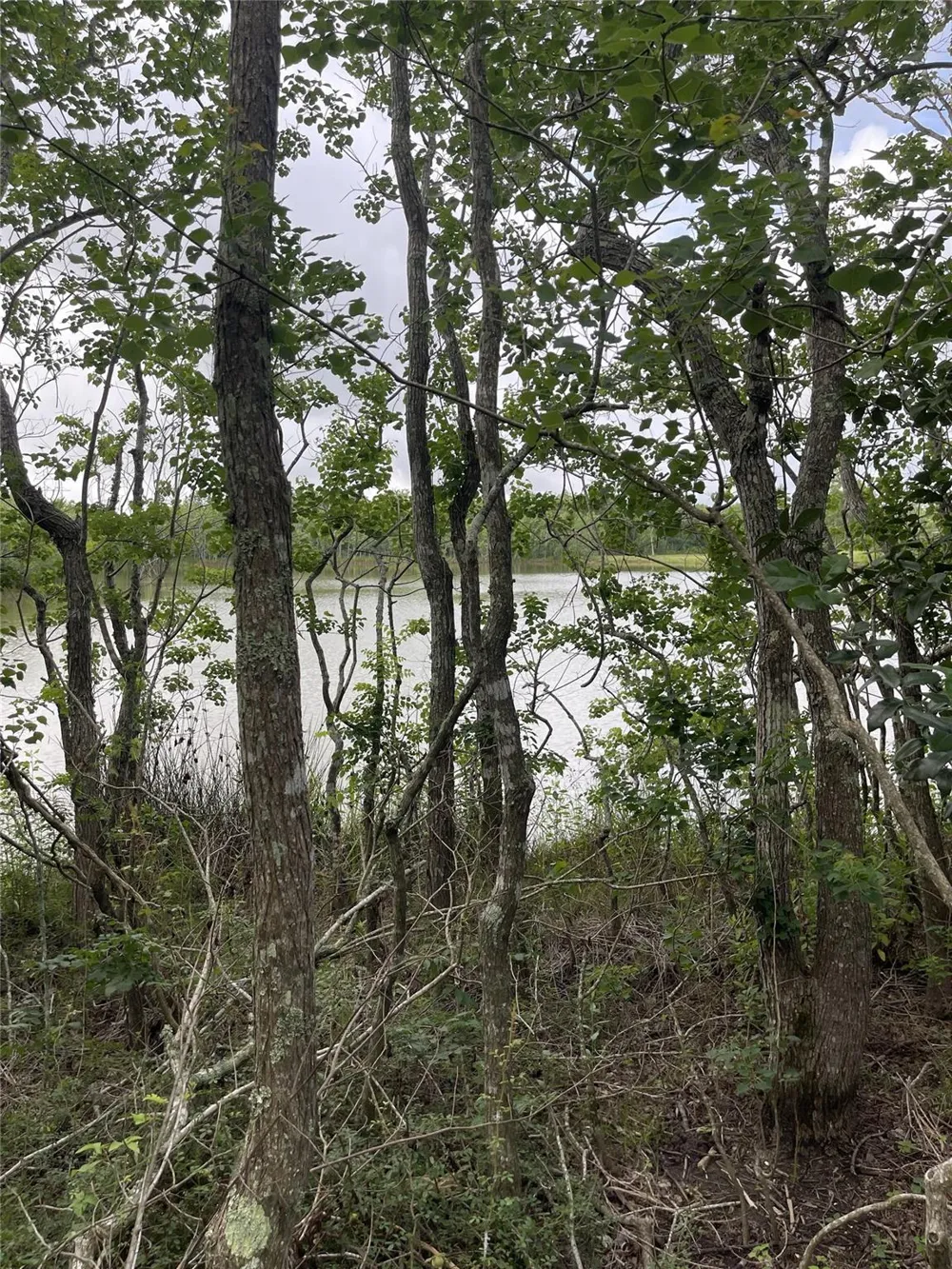 3021 County Road 62 Off Iowa Colony, TX 77583