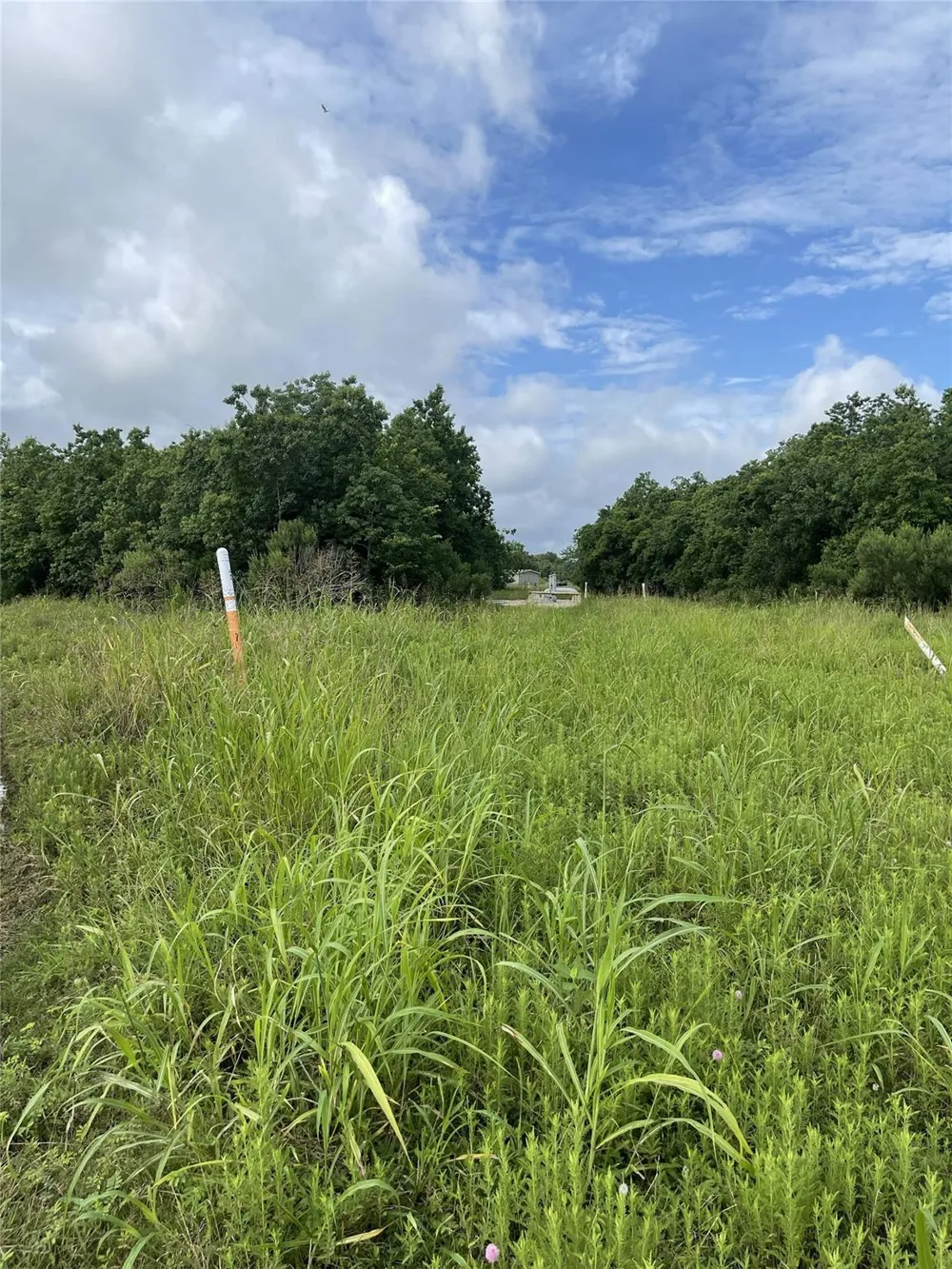 3021 County Road 62 Off Iowa Colony, TX 77583