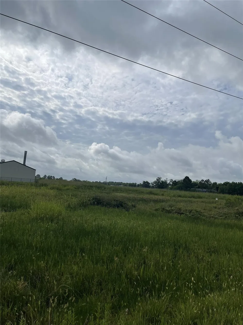 3021 County Road 62 Off Iowa Colony, TX 77583
