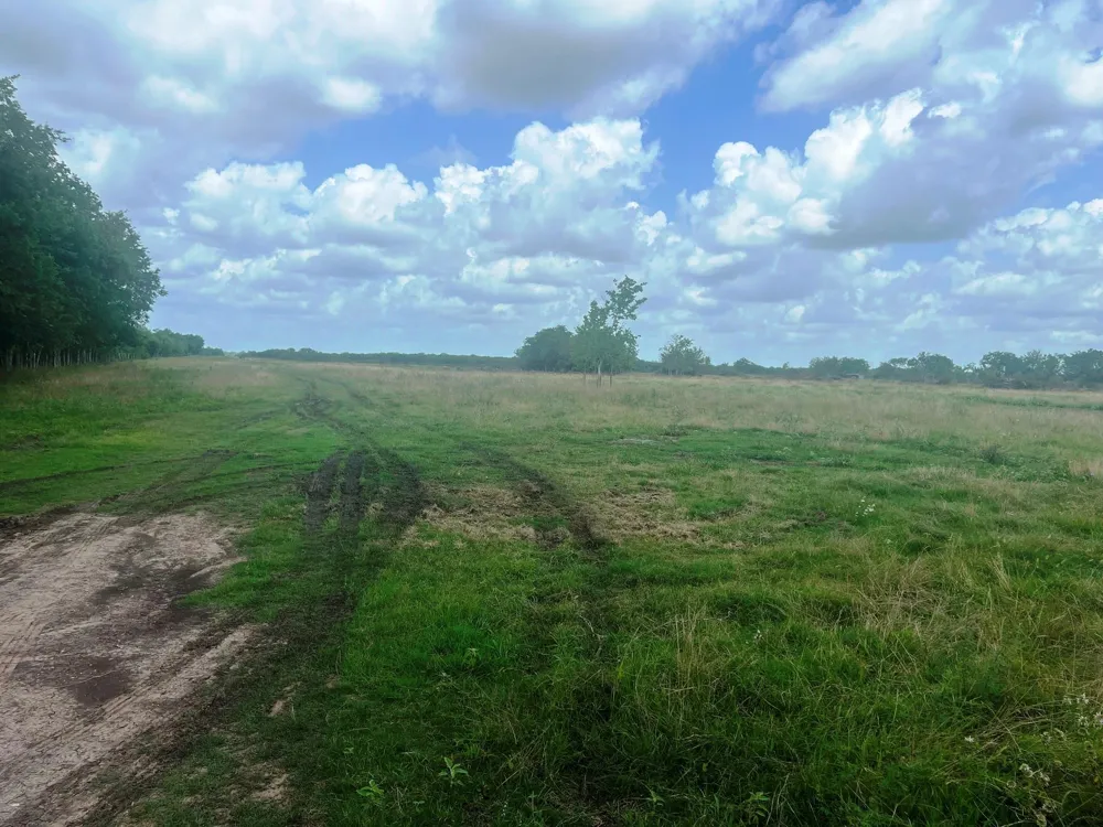 8925 Kerr Rd Pattison, TX 77423