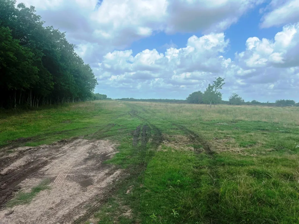 8925 Kerr Rd Pattison, TX 77423