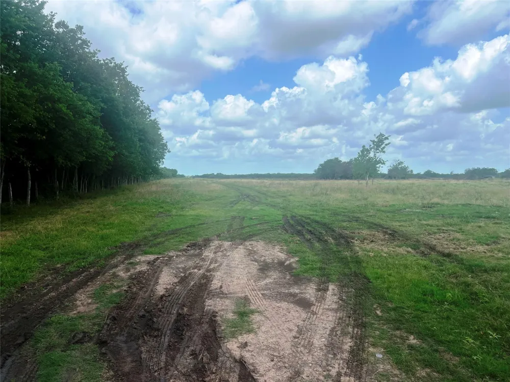 8925 Kerr Rd Pattison, TX 77423
