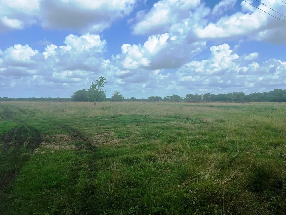 8925 Kerr Rd Pattison, TX 77423