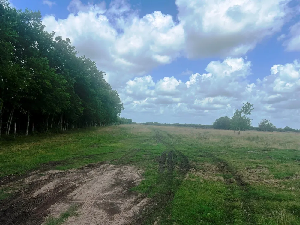 8925 Kerr Rd Pattison, TX 77423
