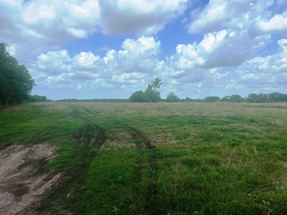 8925 Kerr Rd Pattison, TX 77423