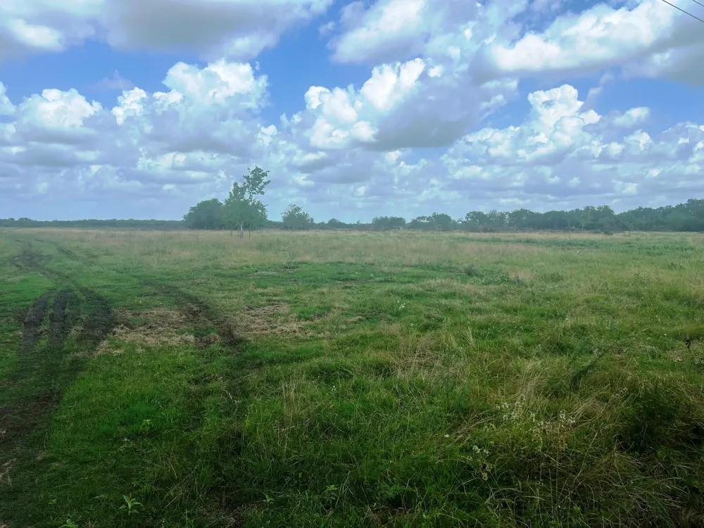 8925 Kerr Rd Pattison, TX 77423