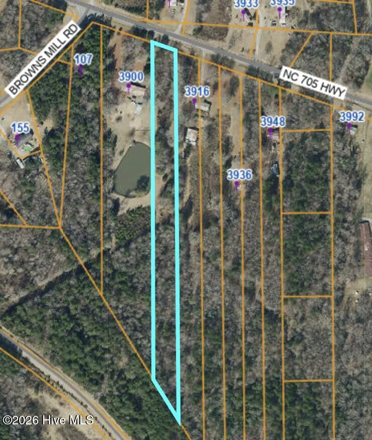 Tbd Nc Hwy 705 Robbins, NC 27325